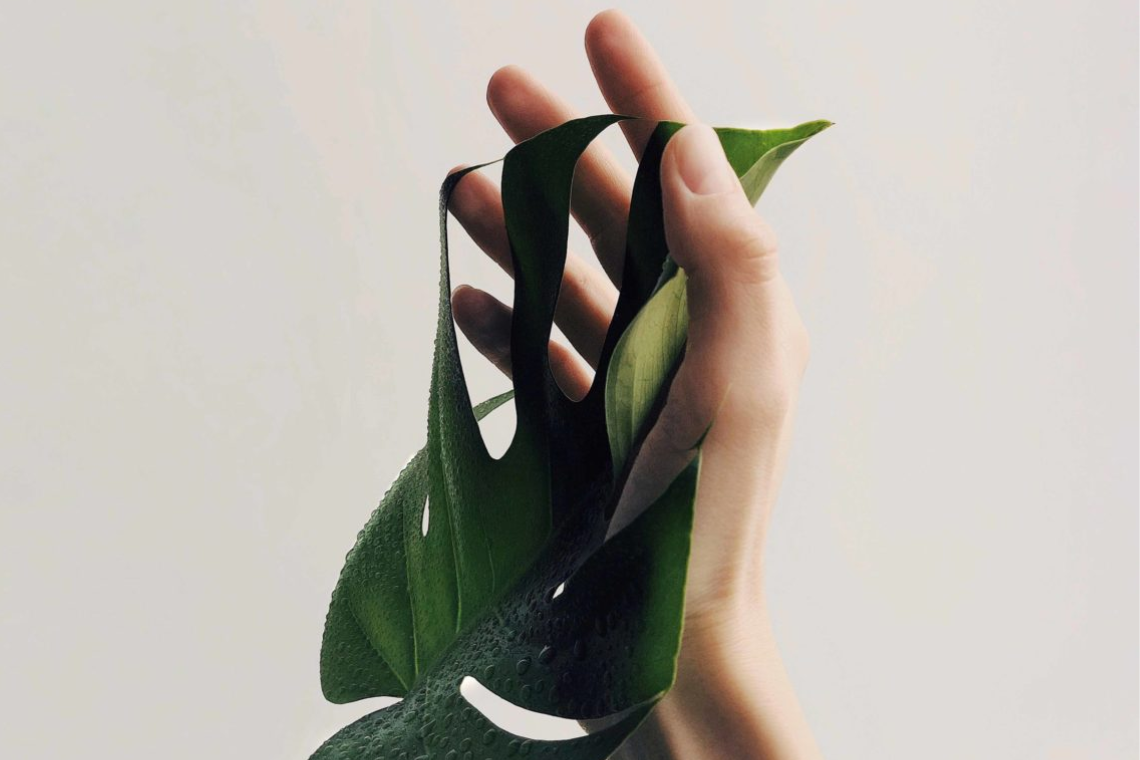 EL CUIDADO DE LAS MANOS